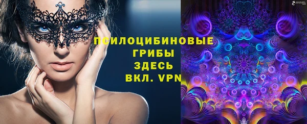 a pvp Алексеевка