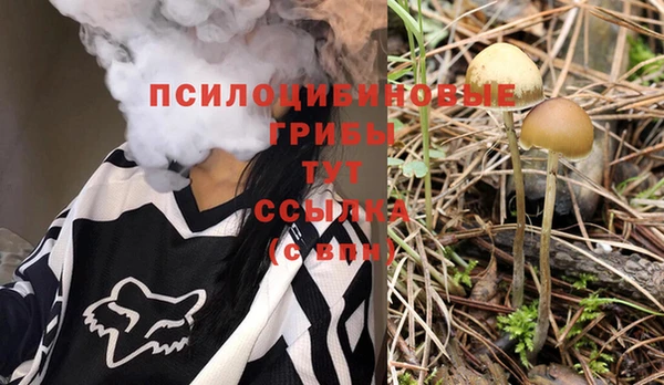 a pvp Алексеевка